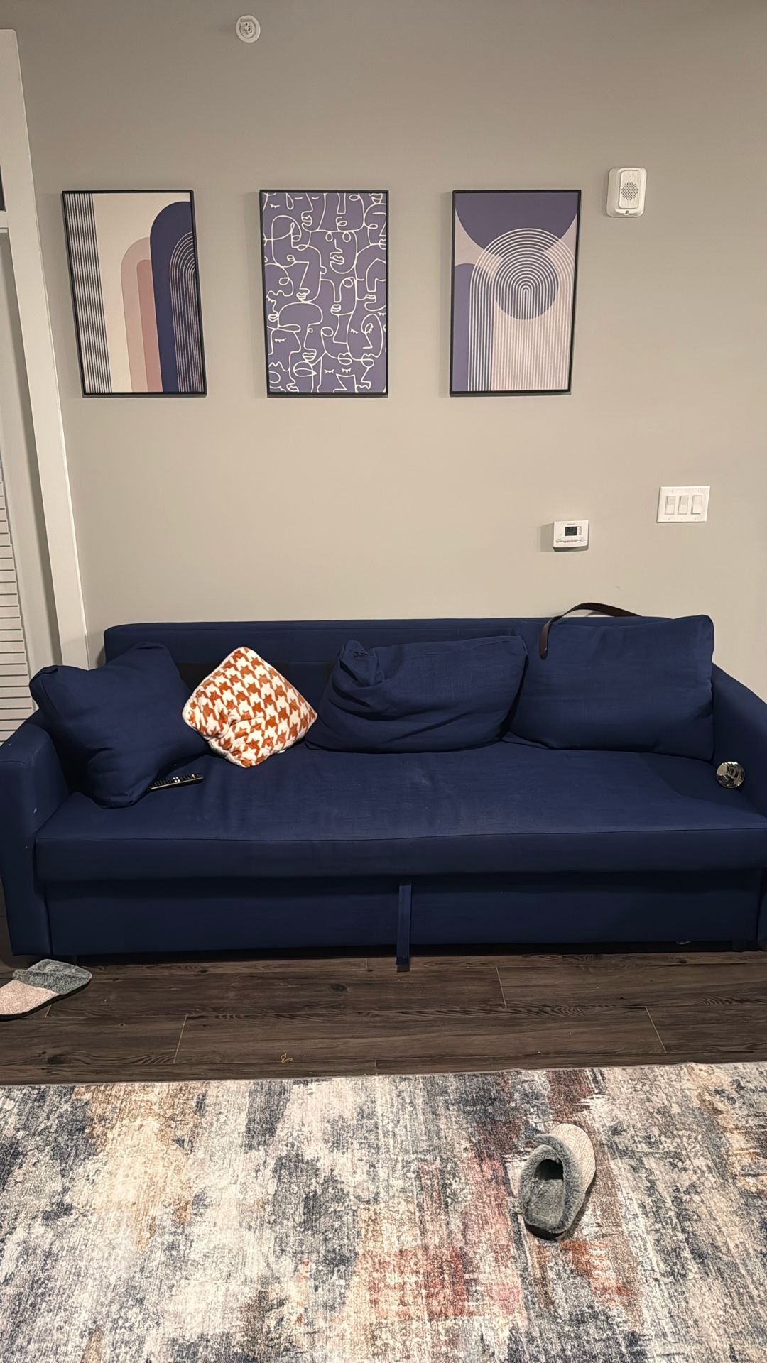 Sleeper Couch