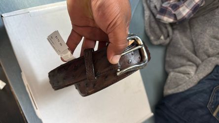 Cody James 1978 ostrich belt 42