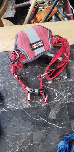Kong dog collar