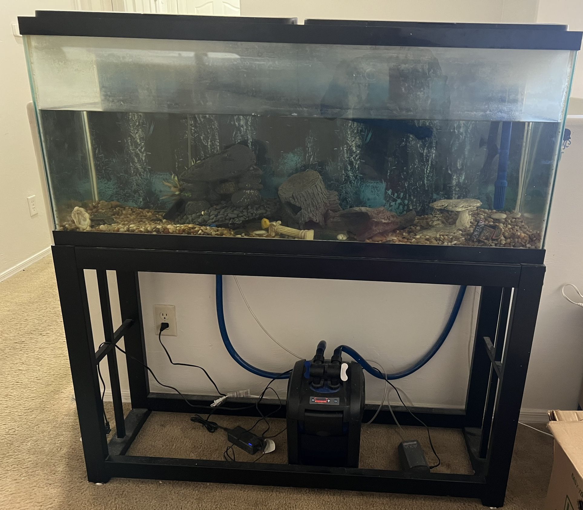 50 Gallon Fish Tank