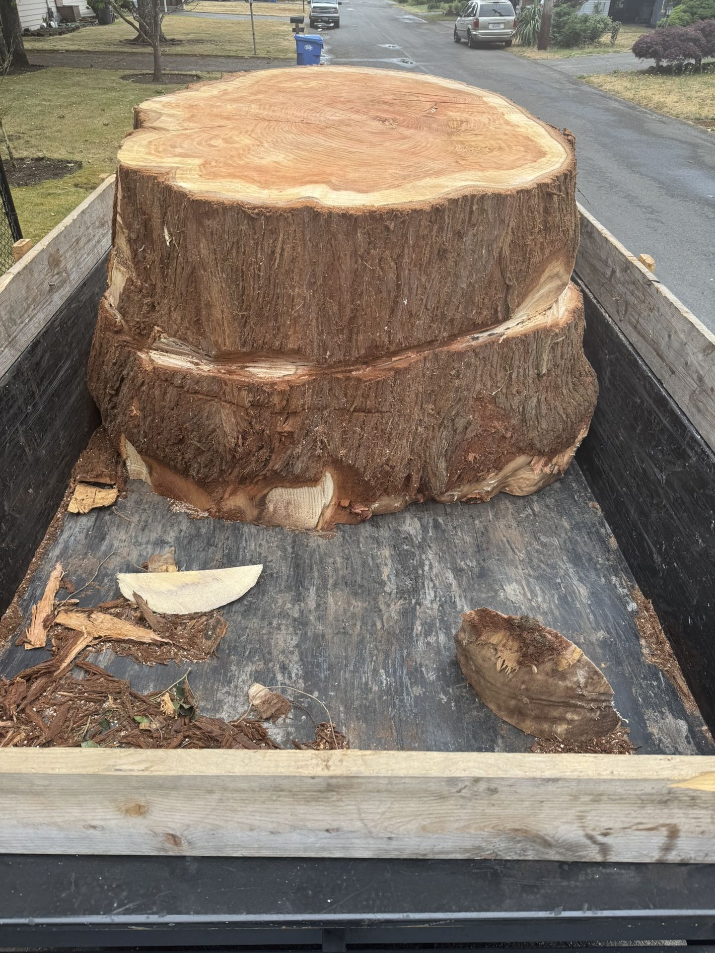 Massive Redwood Sequoia Trunk Delivered