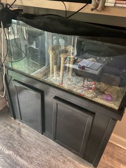 55 gallon saltwater tank with built in pumps