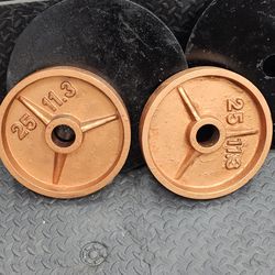Two 25lbs Olympic Style Work Out Barbell Weights