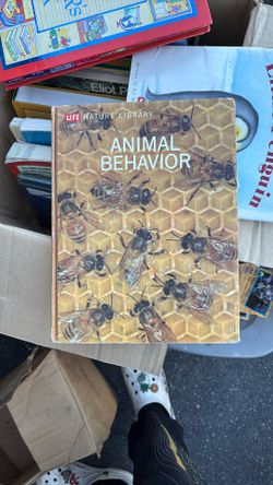 Teachers Resource Books /books For Children
