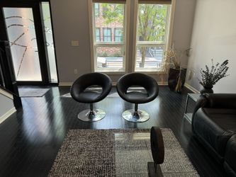 Living Room 2 Chairs, & Rug