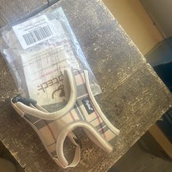 Small Dog Harness 