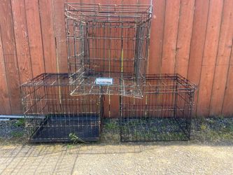 Medium size animal transport cages