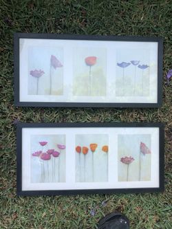 Wall Framed Art