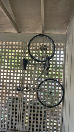 Free Diamondback bike