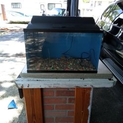 Fish Tank  10g 