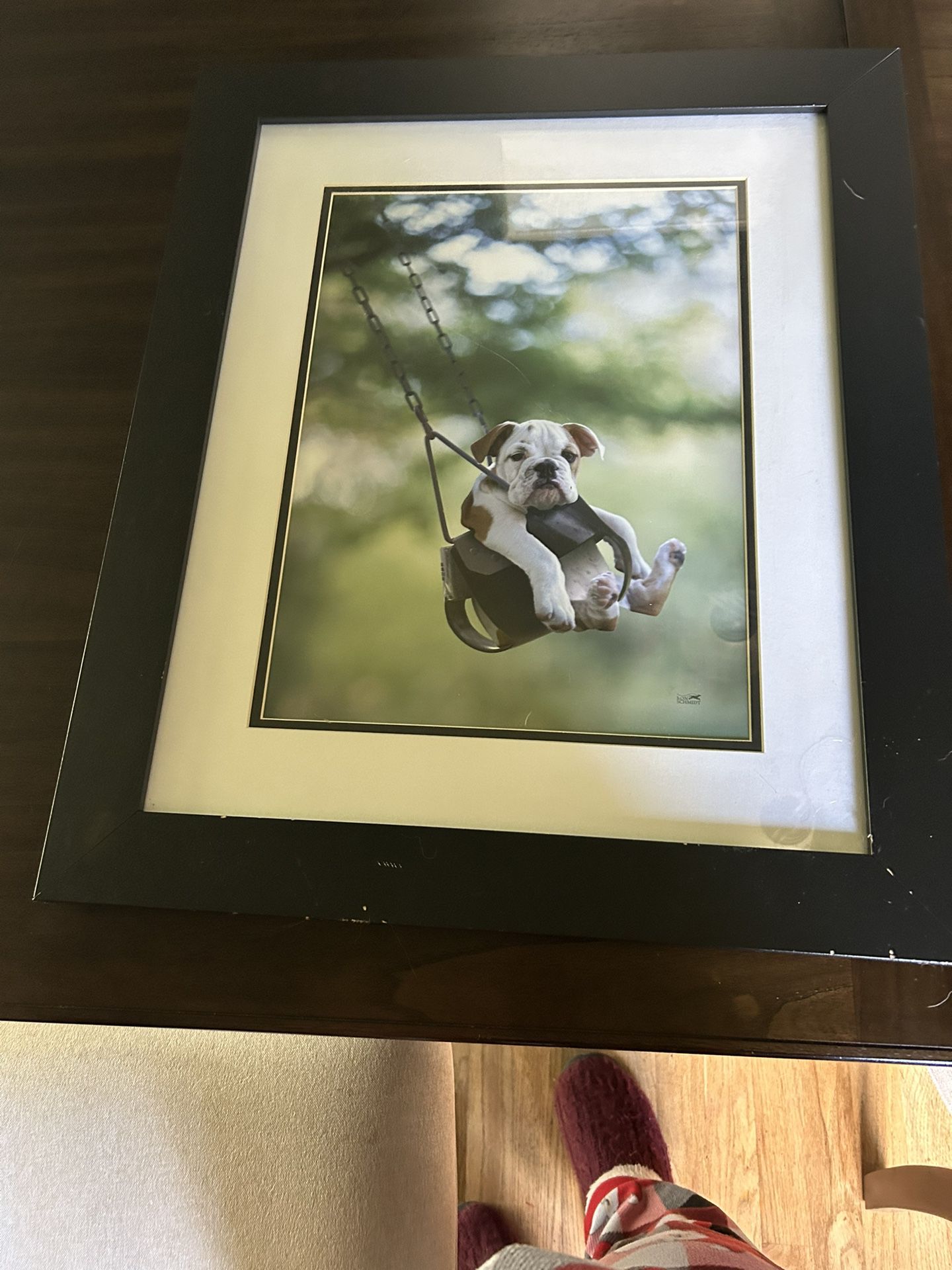 Dog On Swing By Ron Schmidt