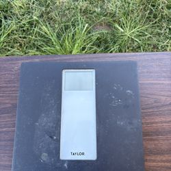 Scale 
