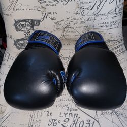 C2 Boxing Gloves 