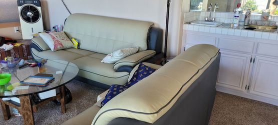 Living room sofa and love seat