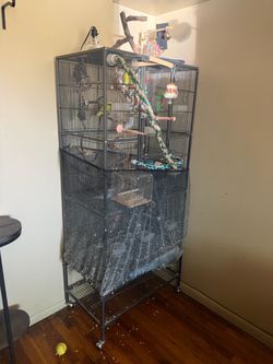 Large bird cage for sale