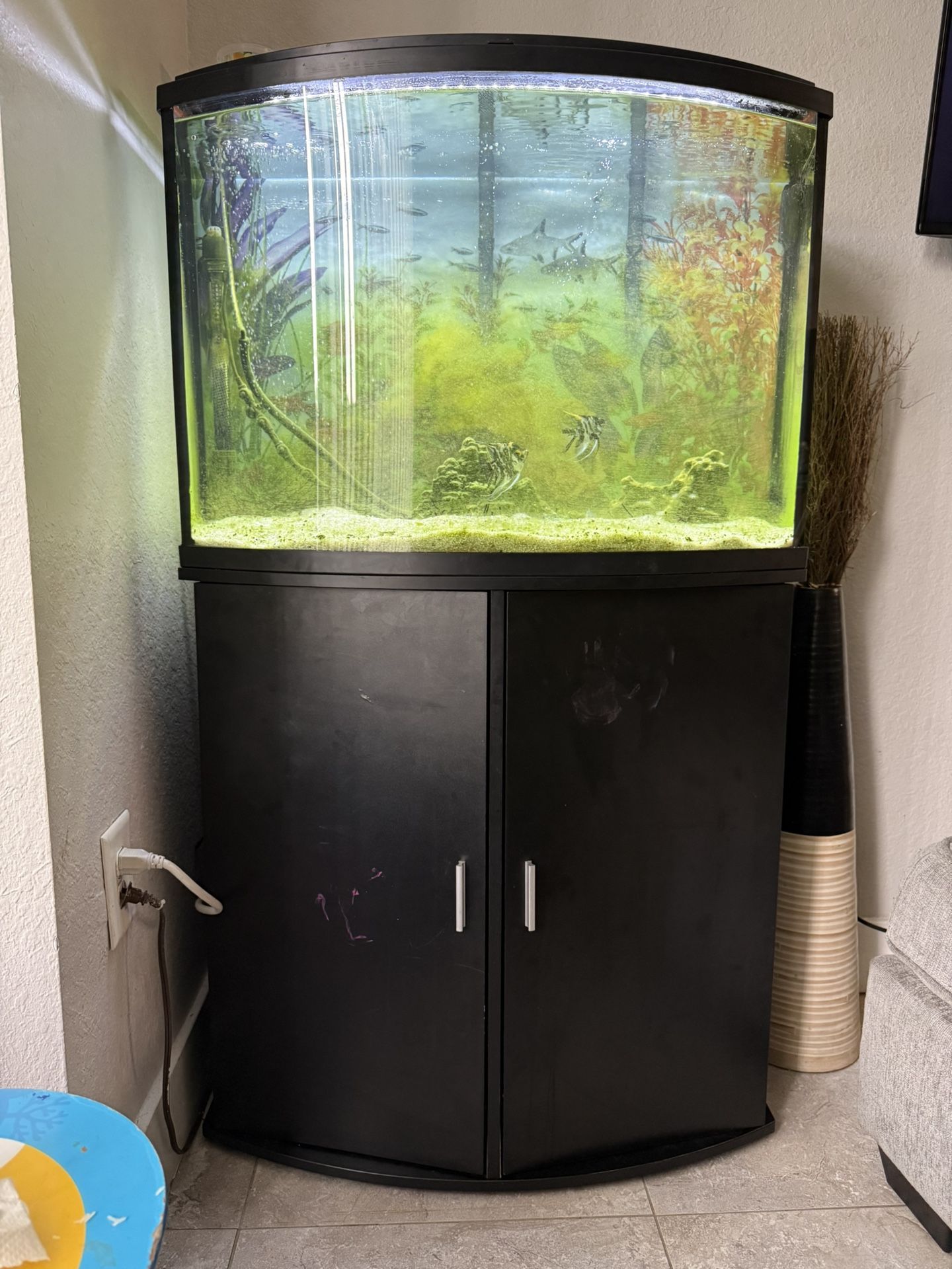 Fish Tank