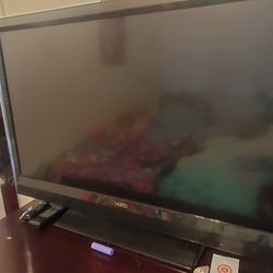 48" Vizio Flat Screen Tv