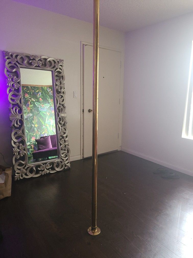 X POLE FITNESS POLE