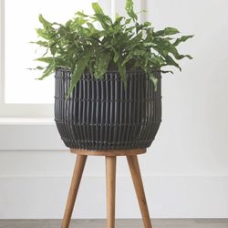 🪴🖤 Black Round Resin Planter & Stand Set with Wood Legs – Brand New in Box! 🖤🪴