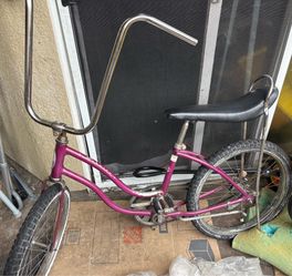 Purple  Schwinn