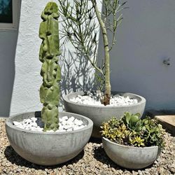 Modern Concrete Pots ( Delivery Available )
