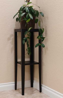 Set of Solid wood Plant Stand + Lush Hoya