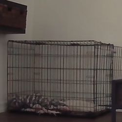 Dog crate XL