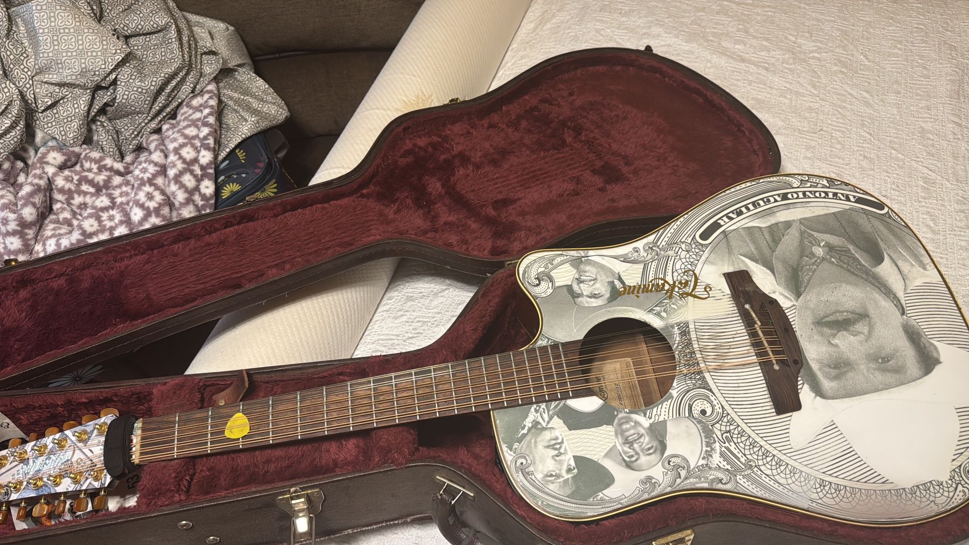 Takemine Guitar