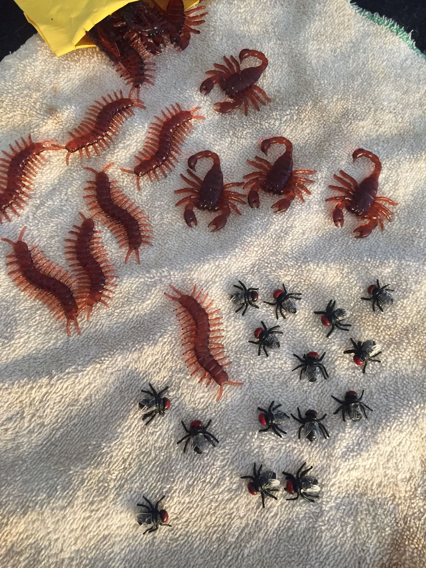 New Real Looking Scorpion Flies & Centipedes Life Like