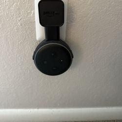 Two- Echo Dot With Outlet Mount