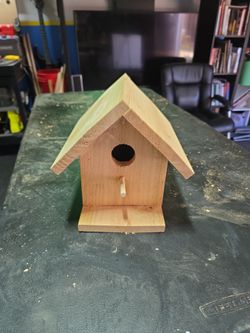 Bird House