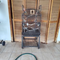 BIRD CAGE