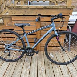 Nishiki Gravel Bike (S/M)