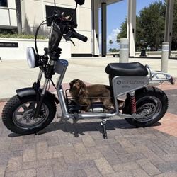 1200w Electric Scooter