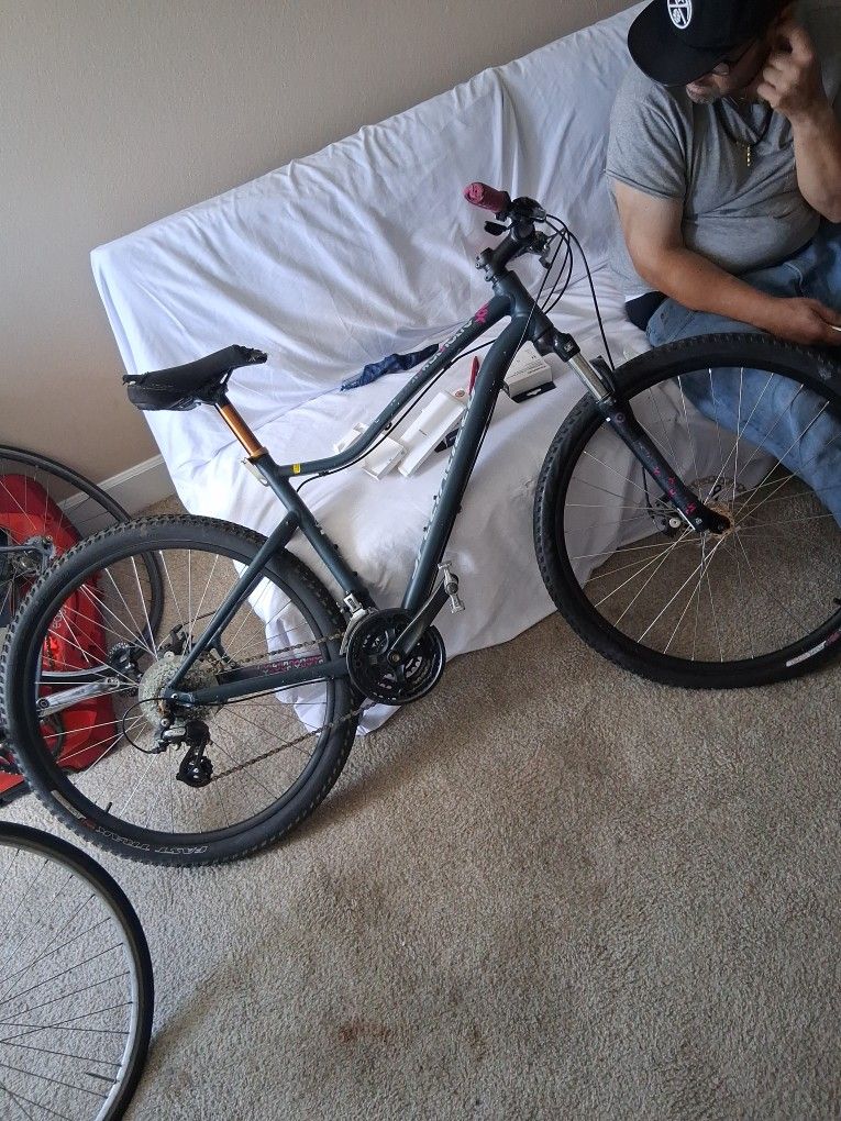 Specialized Jynx 2017