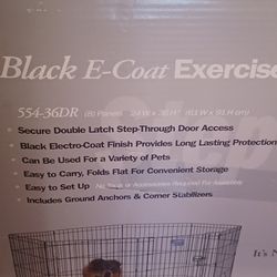 Black E-coat Exercise Pen