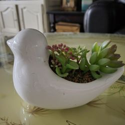 Decor