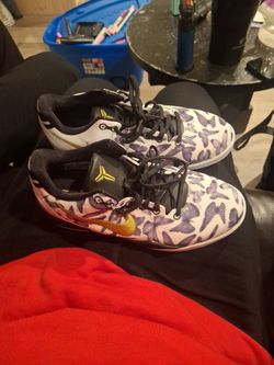 Nike Kobe's 8 Protro Mambacita
