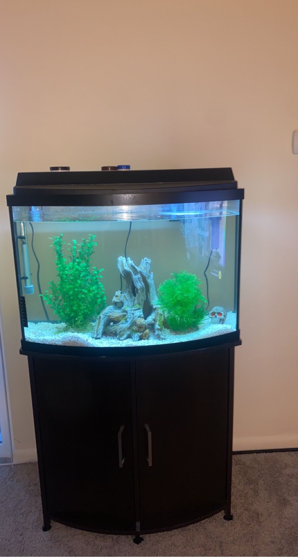36Gallon Fish Tank