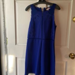 Ted Baker Dress