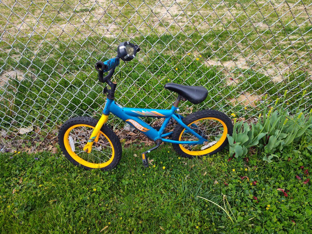 Hot Wheels Youth Bicycle