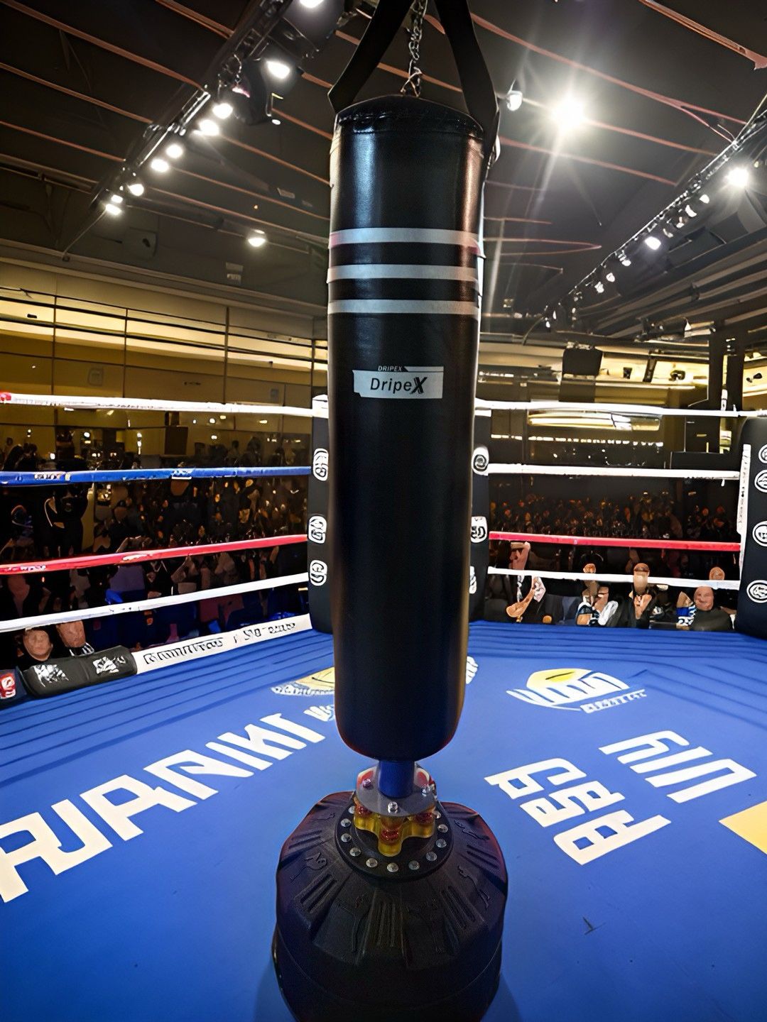 Dripex Freestanding Punching Bag