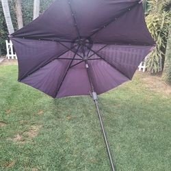Umbrella 