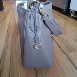 Designer Purse Shoes