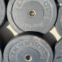 45LB Bumper Plates