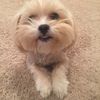 Sylkie