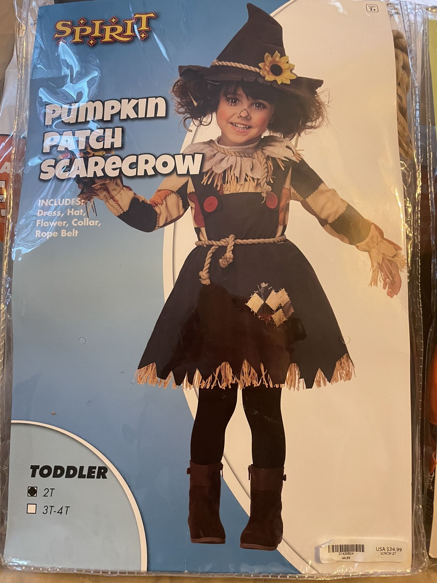 Halloween Pumpkin Patch Scarecrow 