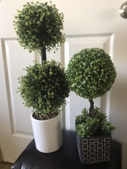 Trees