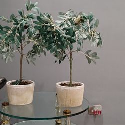 ELIJAH , Faux  Olive Tree  ( Set  of  2