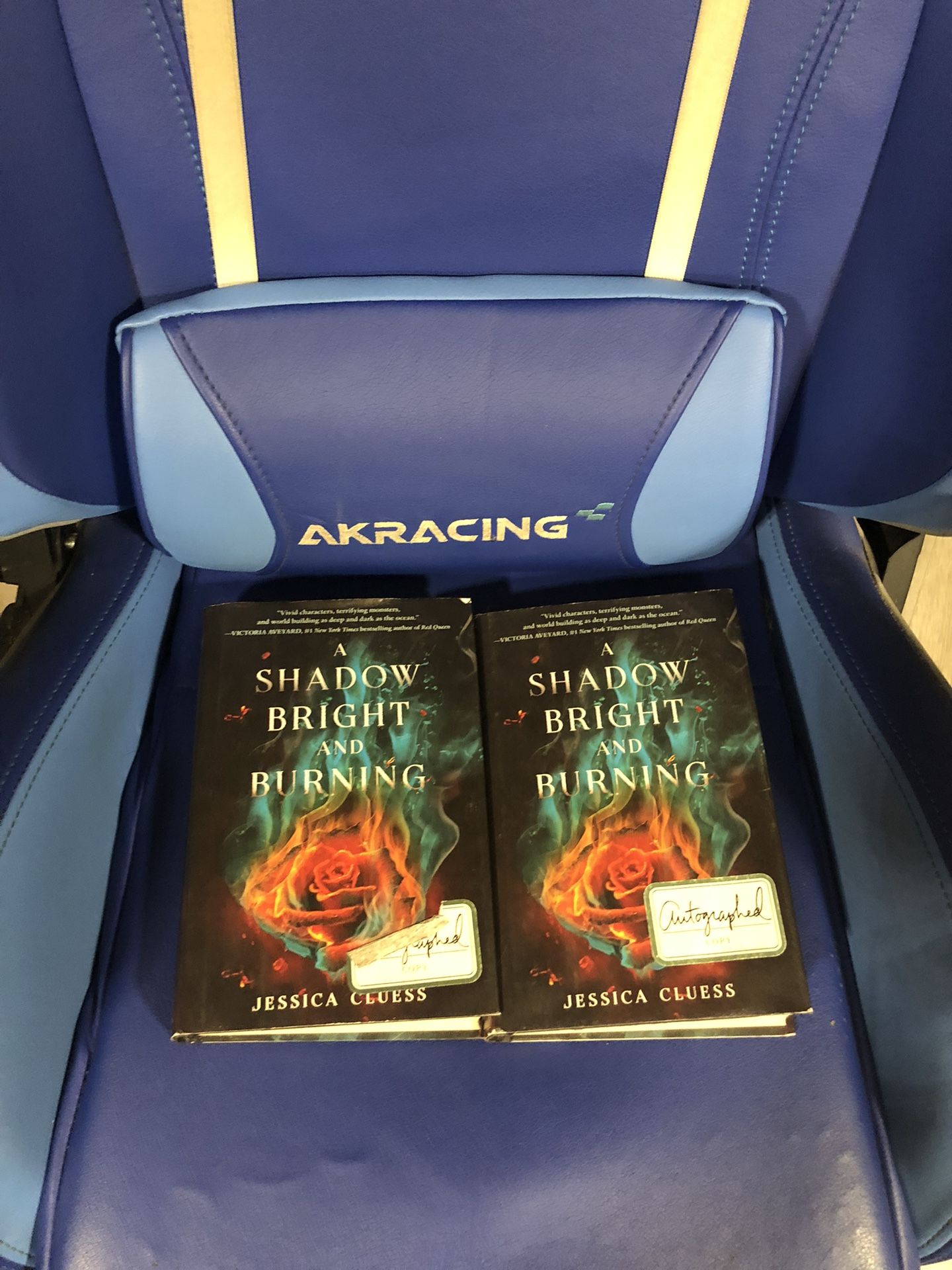 Shadow Bright and Burning by Jessica Cluess